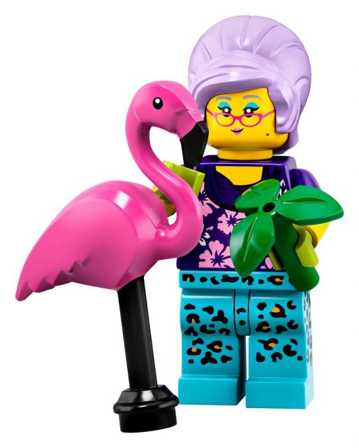 Minifigure LEGO Collezionabili Serie 19 (71025)