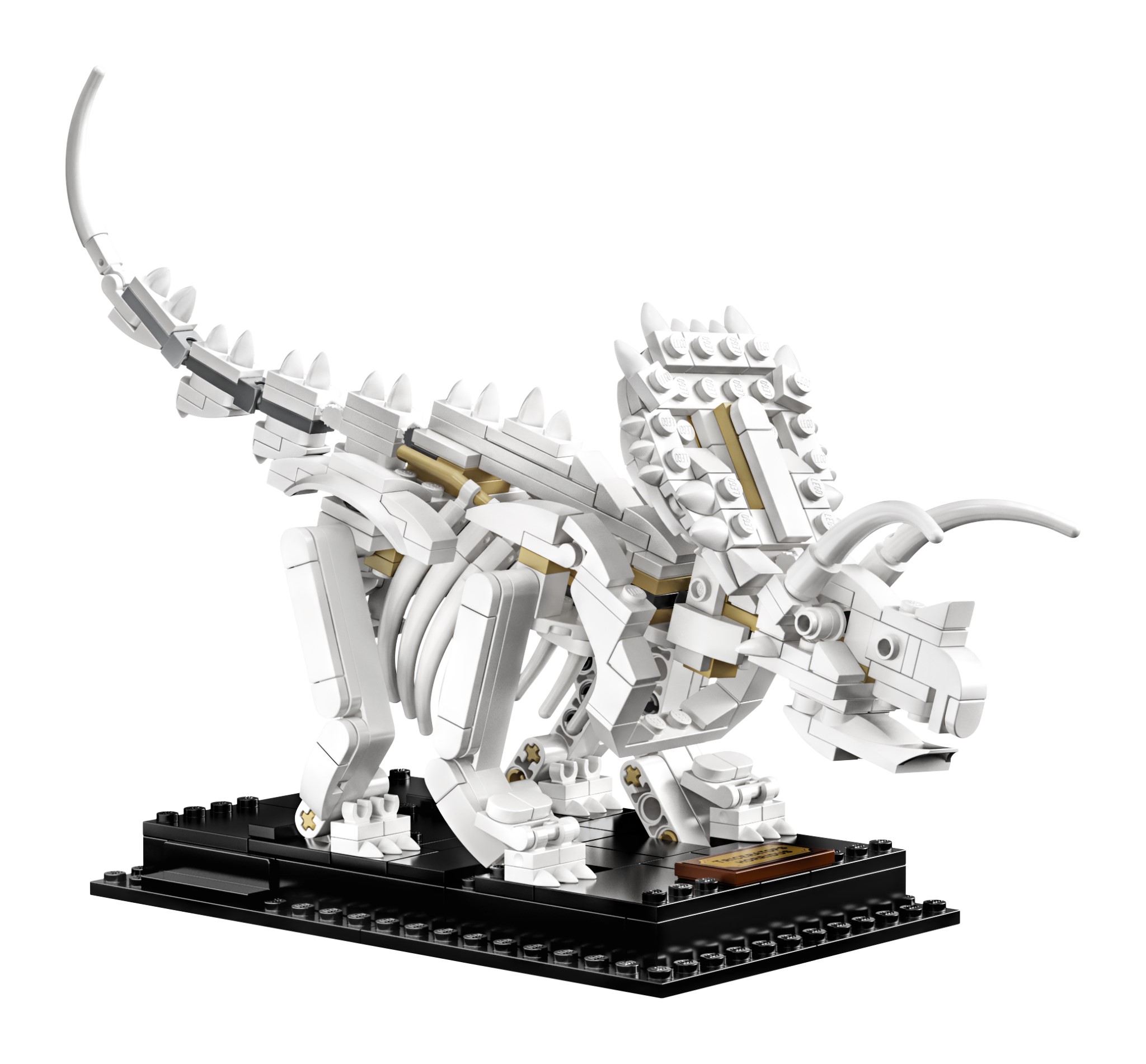 LEGO Ideas Fossili di Dinosauro (21320)