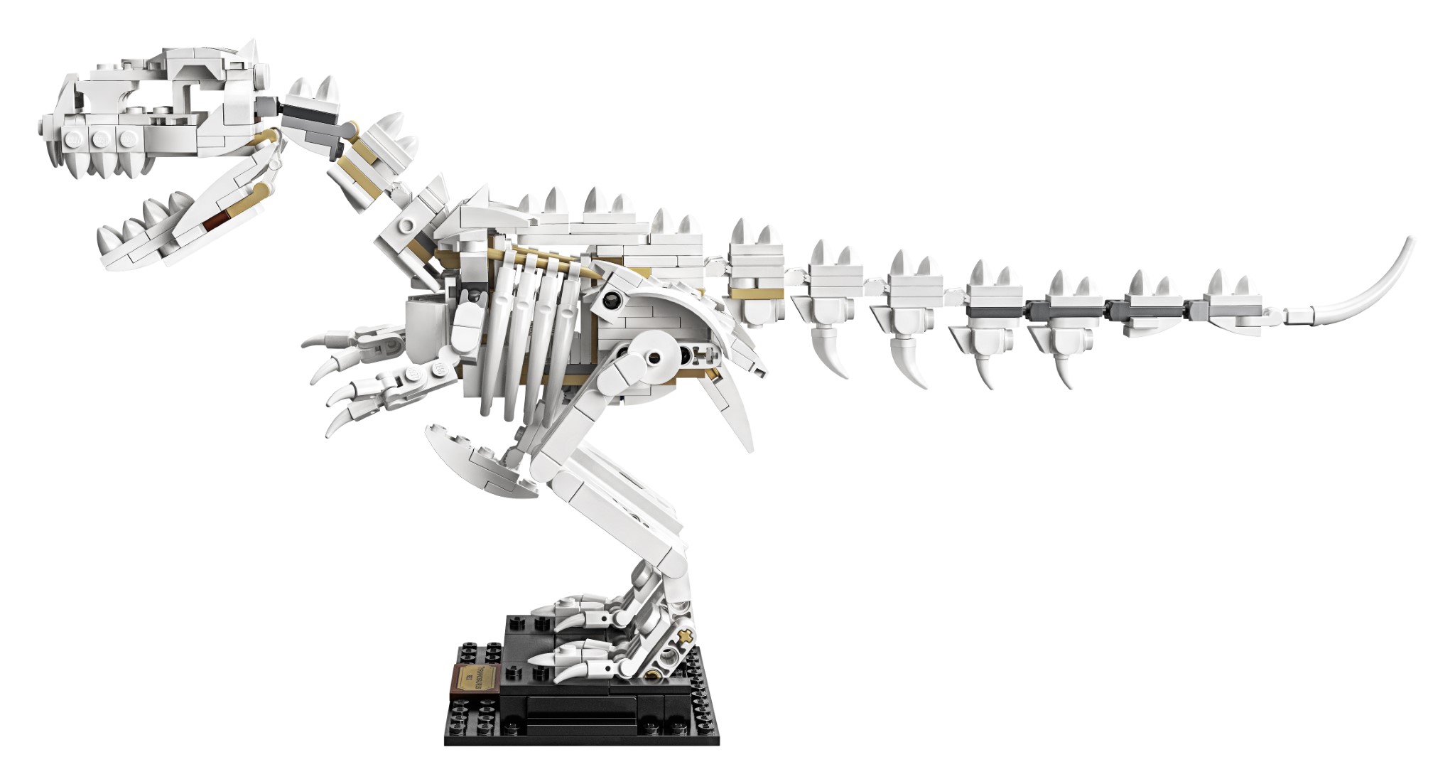 LEGO Ideas Fossili di Dinosauro (21320)