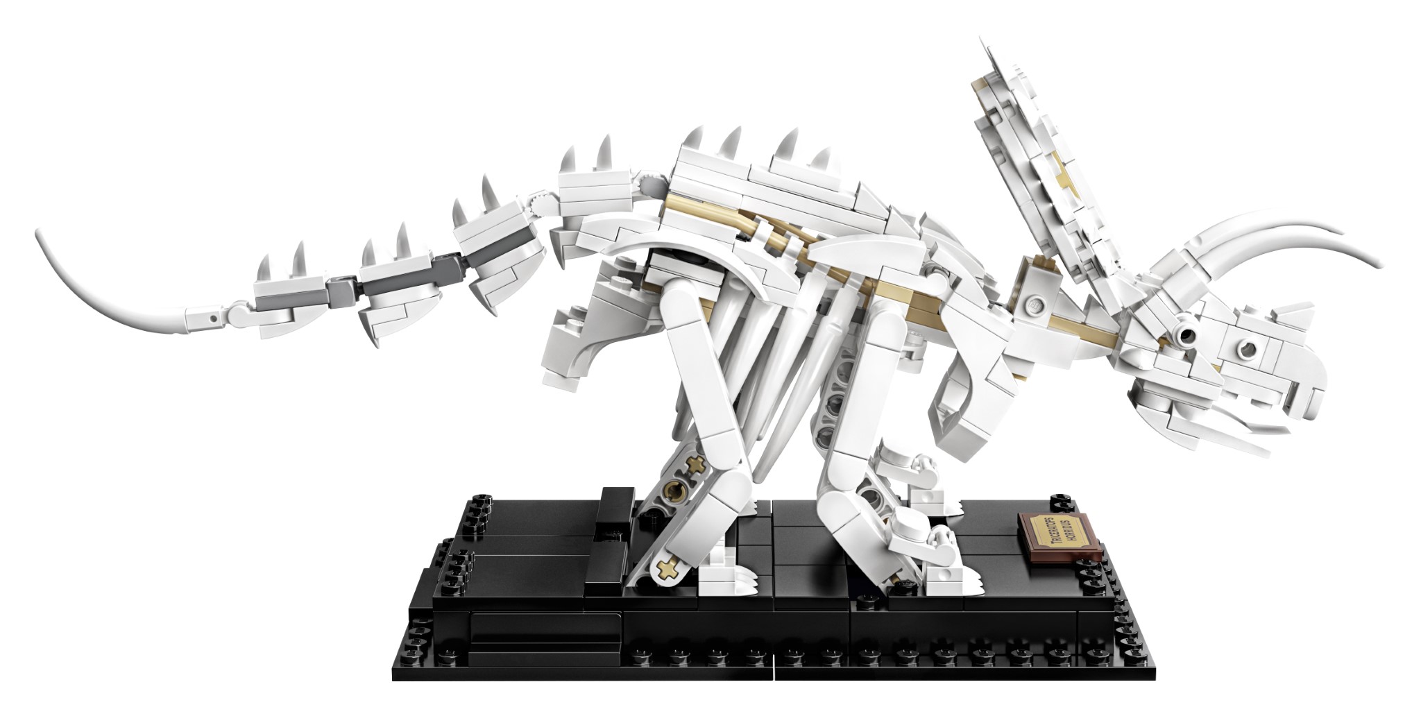 LEGO Ideas Fossili di Dinosauro (21320)