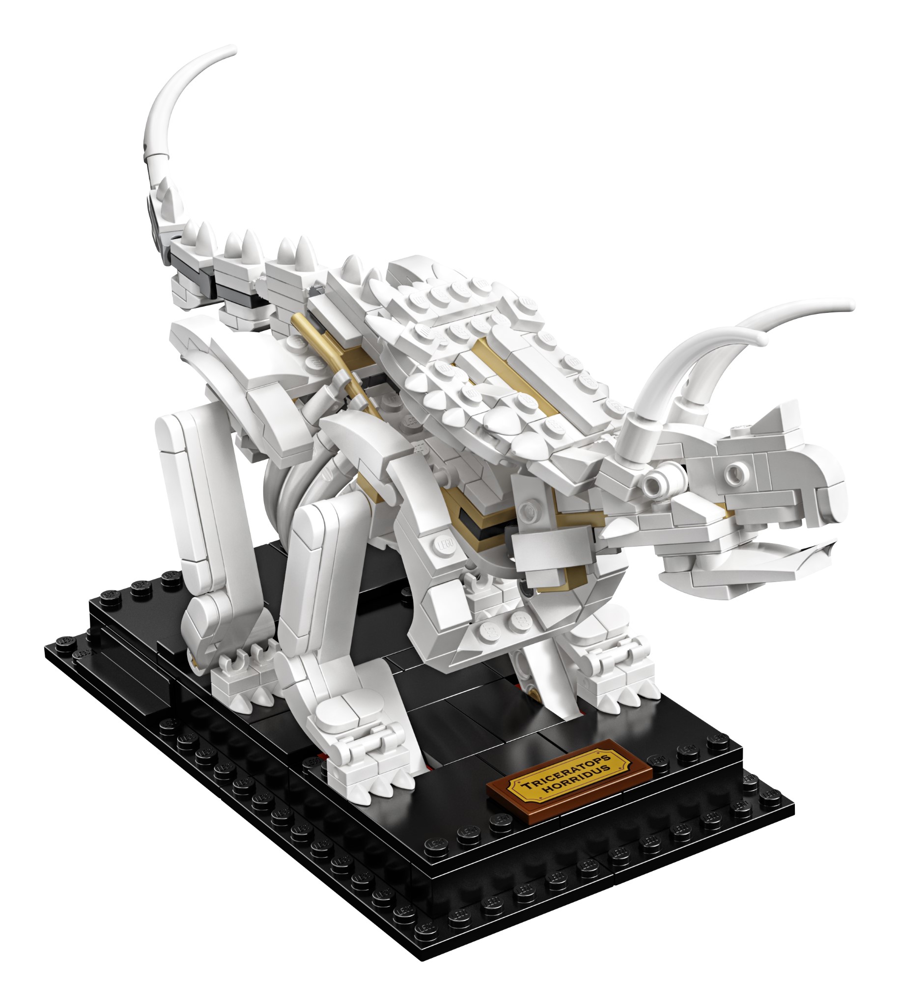 LEGO Ideas Fossili di Dinosauro (21320)