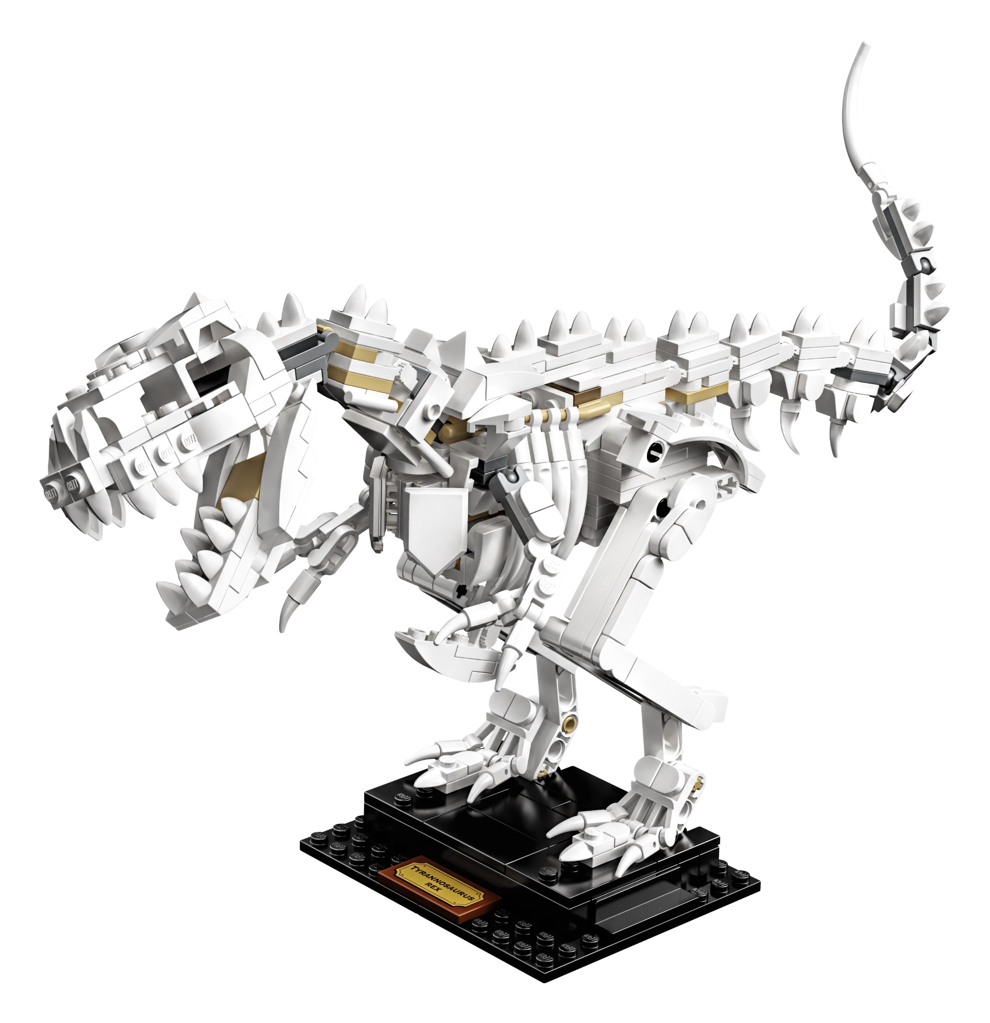 LEGO Ideas Fossili di Dinosauro (21320)