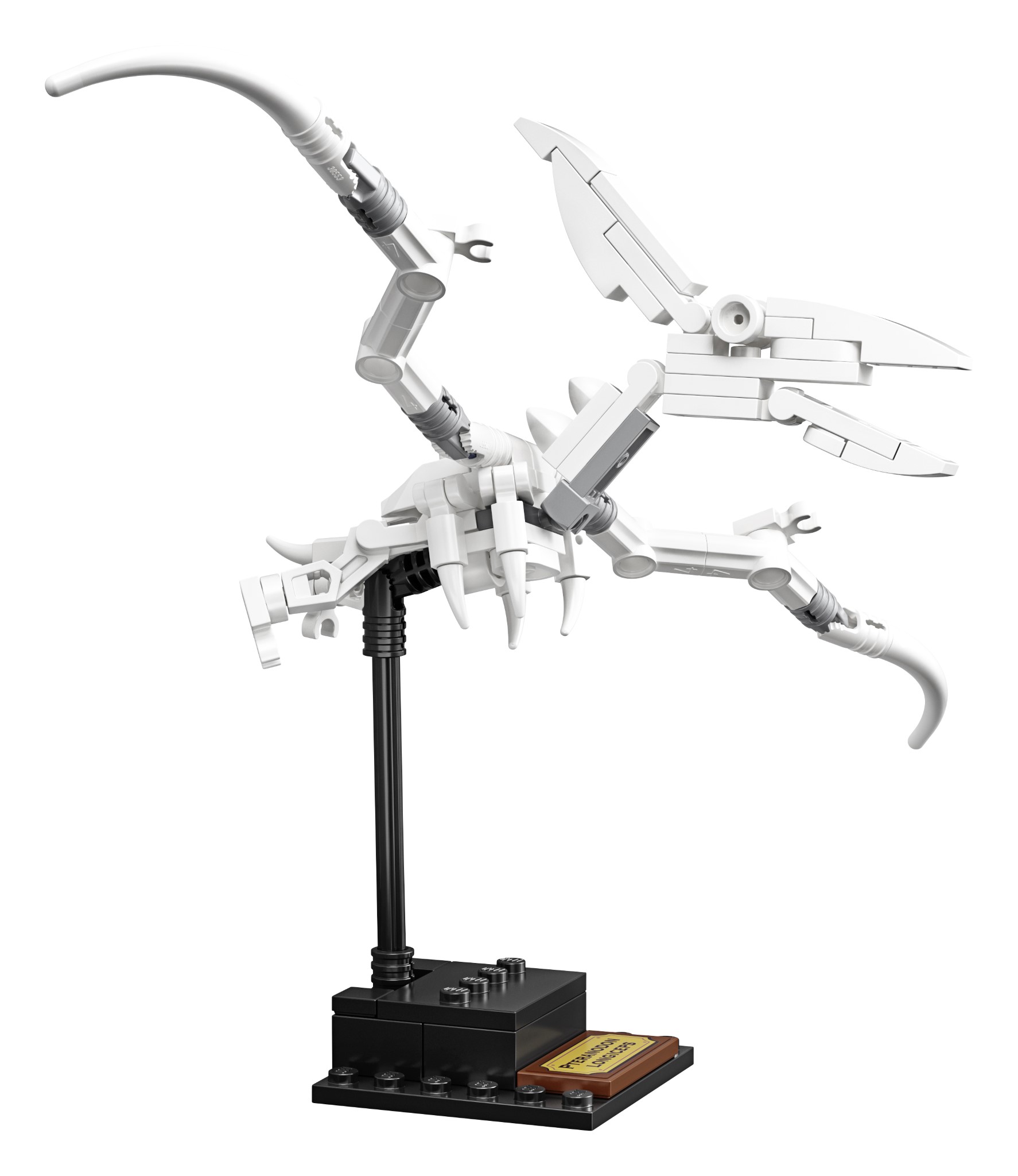 LEGO Ideas Fossili di Dinosauro (21320)