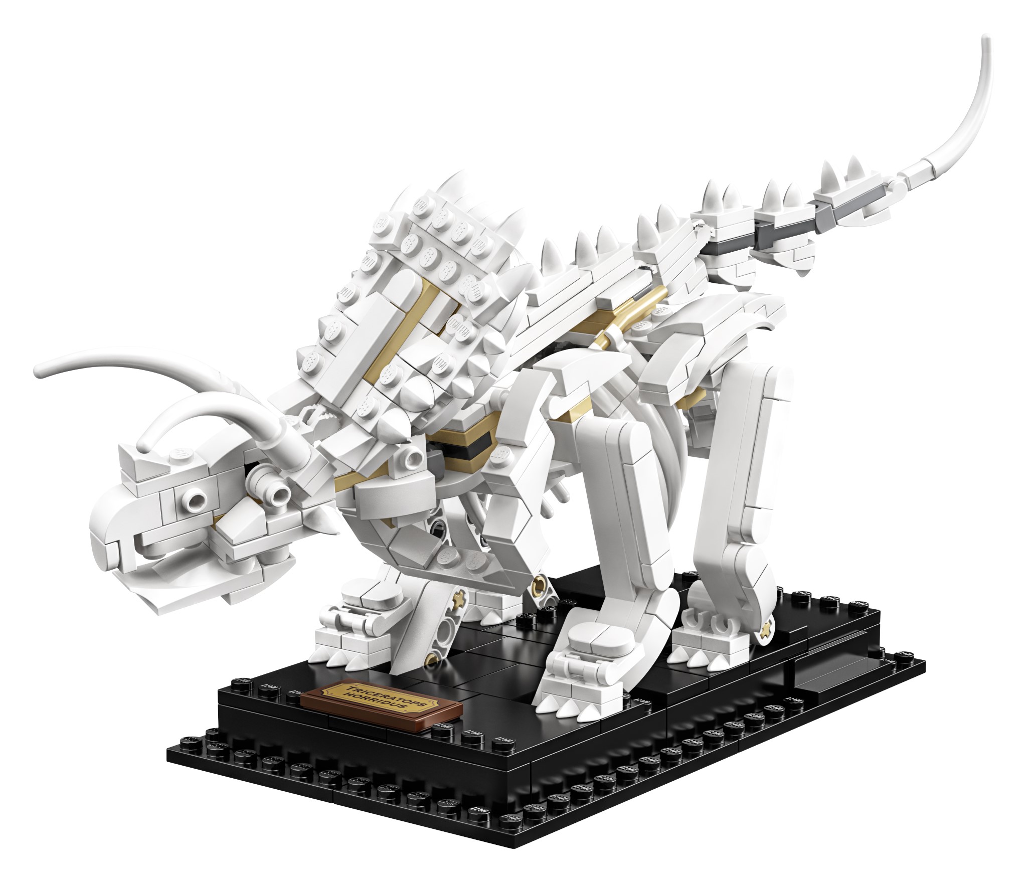 LEGO Ideas Fossili di Dinosauro (21320)