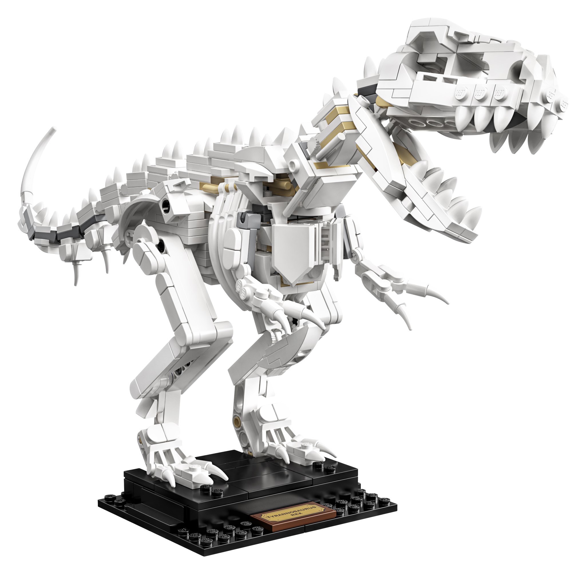 LEGO Ideas Fossili di Dinosauro (21320)