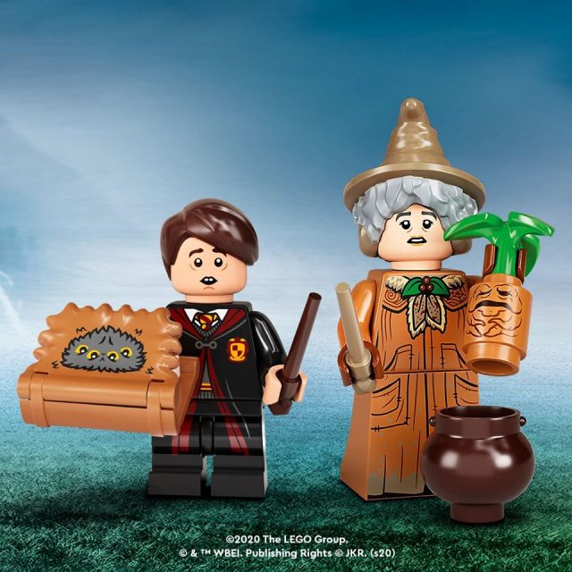 LEGO-Harry-Potter-Collectible-Minifigures-Series-2-71028