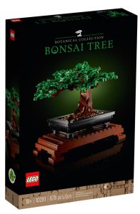 Albero Bonsai (10281)