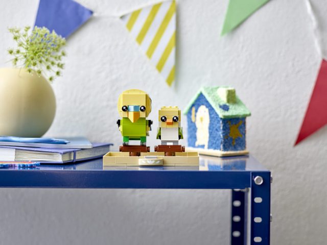 LEGO-BrickHeadz-40443-Budgie