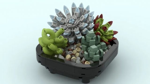 Succulent Garden