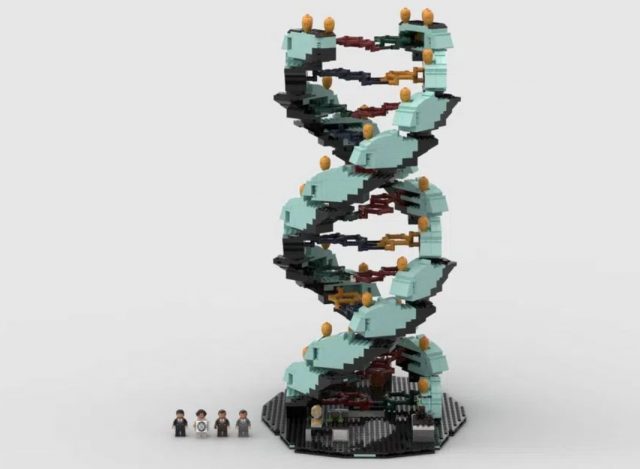 DNA