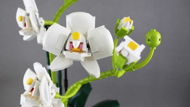 LEGO-Ideas-Orchid